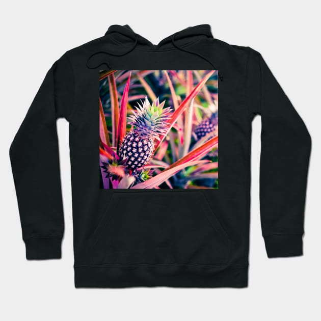 Purple Hawaiian Pineapple Hoodie by alohaportraits